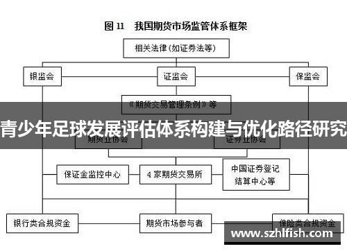 青少年足球发展评估体系构建与优化路径研究