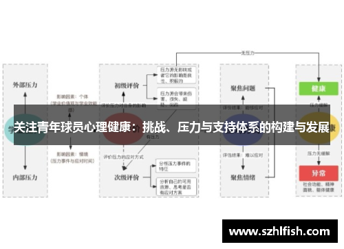 关注青年球员心理健康：挑战、压力与支持体系的构建与发展