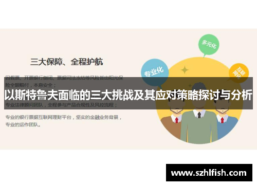 以斯特鲁夫面临的三大挑战及其应对策略探讨与分析