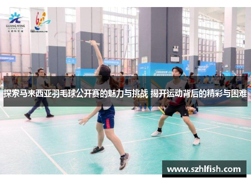 探索马来西亚羽毛球公开赛的魅力与挑战 揭开运动背后的精彩与困难