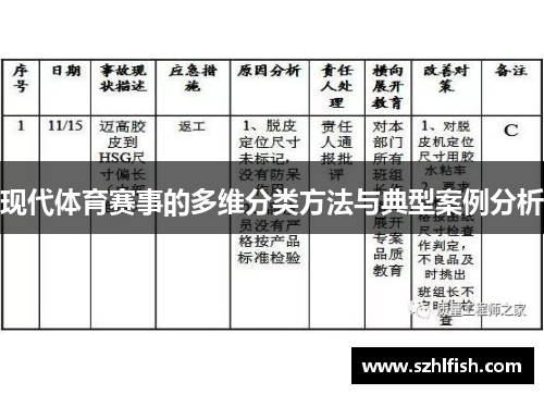 现代体育赛事的多维分类方法与典型案例分析