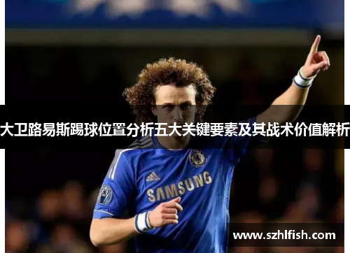 大卫路易斯踢球位置分析五大关键要素及其战术价值解析