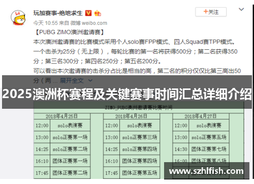 2025澳洲杯赛程及关键赛事时间汇总详细介绍
