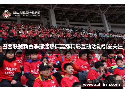 巴西联赛新赛季球迷热情高涨精彩互动活动引发关注