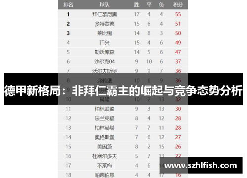 德甲新格局：非拜仁霸主的崛起与竞争态势分析