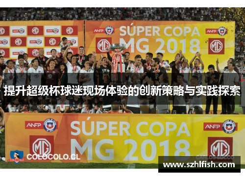提升超级杯球迷现场体验的创新策略与实践探索