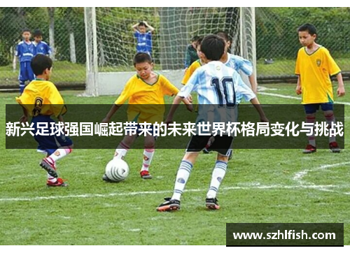 新兴足球强国崛起带来的未来世界杯格局变化与挑战