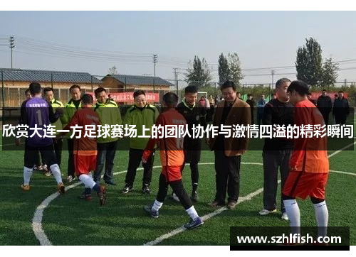 欣赏大连一方足球赛场上的团队协作与激情四溢的精彩瞬间